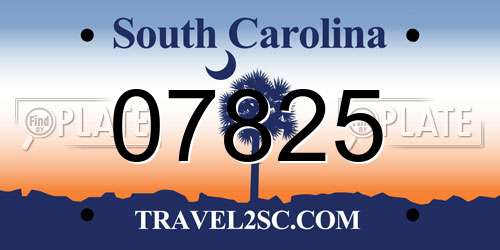 07825 South Carolina License Plate