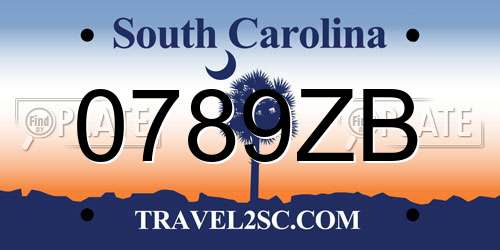 0789ZB South Carolina License Plate