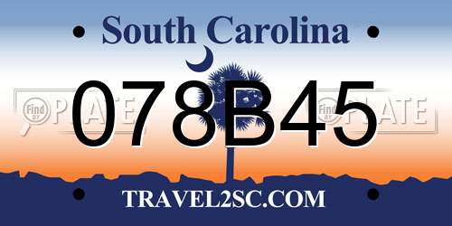 078B45 South Carolina License Plate