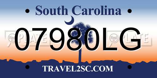 07980LG South Carolina License Plate