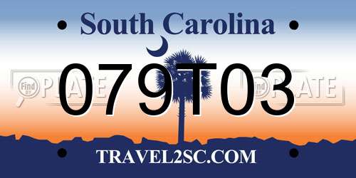 079T03 South Carolina License Plate