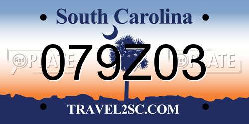 079Z03 South Carolina License Plate
