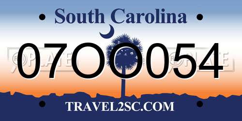 07OO054 South Carolina License Plate