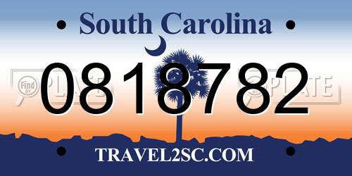 0818782 South Carolina License Plate