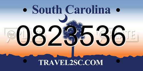 0823536 South Carolina License Plate