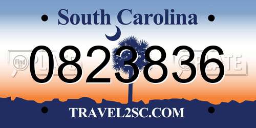 0823836 South Carolina License Plate