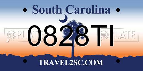 0828TI South Carolina License Plate