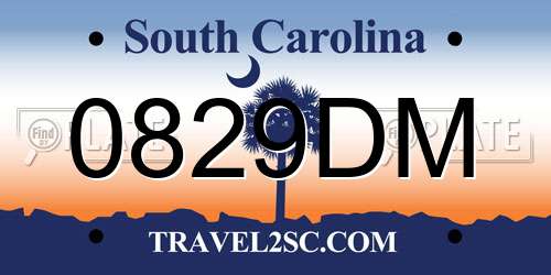 0829DM South Carolina License Plate