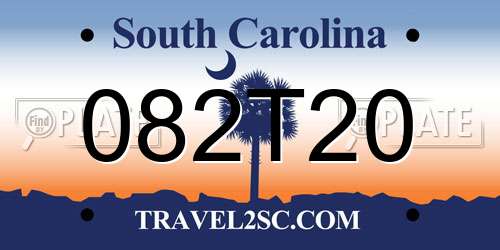 082T20 South Carolina License Plate