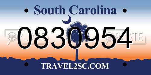 0830954 South Carolina License Plate