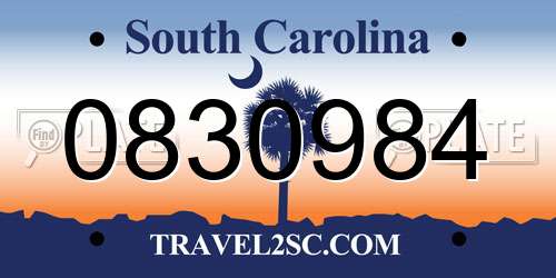 0830984 South Carolina License Plate