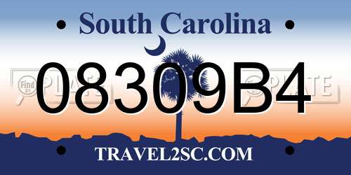08309B4 South Carolina License Plate