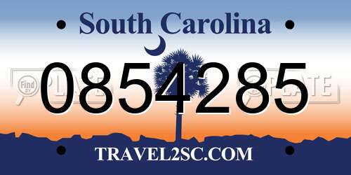 0854285 South Carolina License Plate