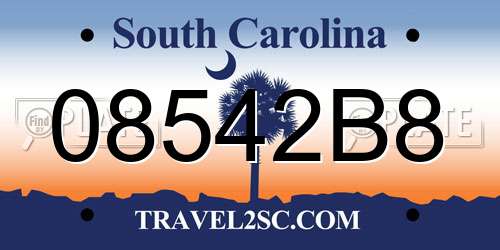 08542B8 South Carolina License Plate