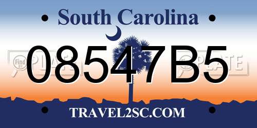 08547B5 South Carolina License Plate