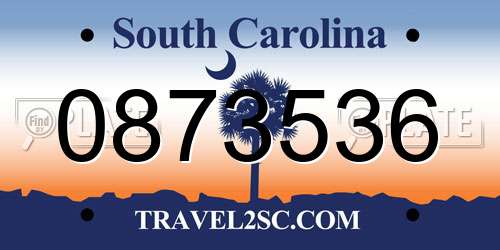 0873536 South Carolina License Plate