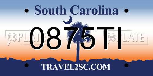 0875TI South Carolina License Plate