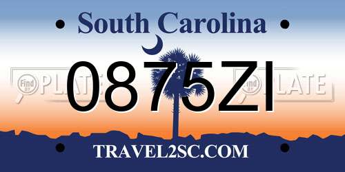 0875ZI South Carolina License Plate