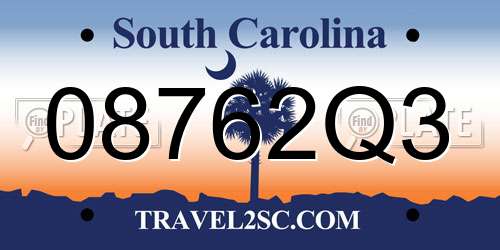 08762Q3 South Carolina License Plate