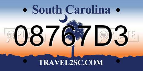 08767D3 South Carolina License Plate