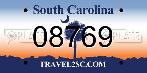 08769 South Carolina License Plate