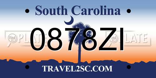 0878ZI South Carolina License Plate