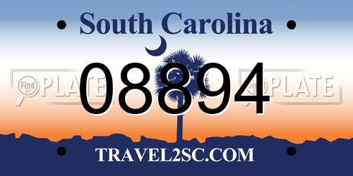08894 South Carolina License Plate