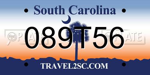 089T56 South Carolina License Plate
