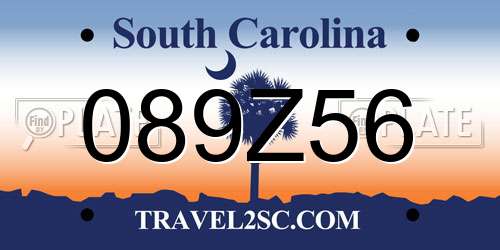 089Z56 South Carolina License Plate