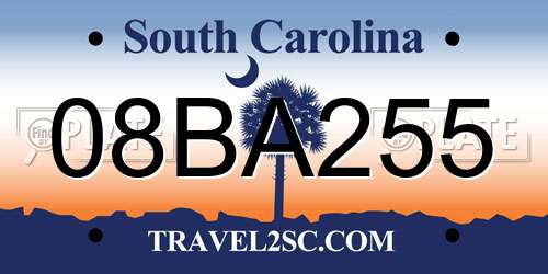 08BA255 South Carolina License Plate