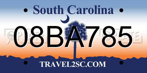 08BA785 South Carolina License Plate