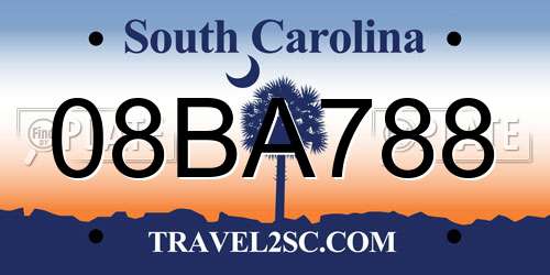08BA788 South Carolina License Plate