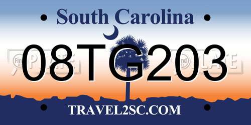 08TG203 South Carolina License Plate