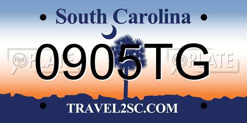 0905TG South Carolina License Plate