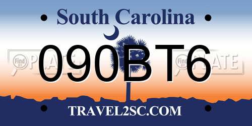 090BT6 South Carolina License Plate