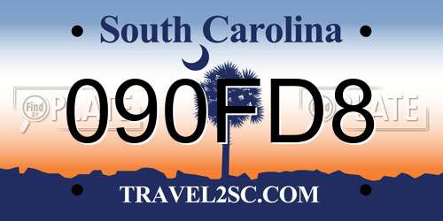 090FD8 South Carolina License Plate