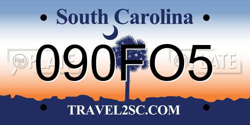 090FO5 South Carolina License Plate