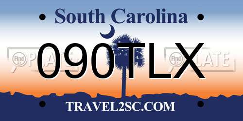 090TLX South Carolina License Plate