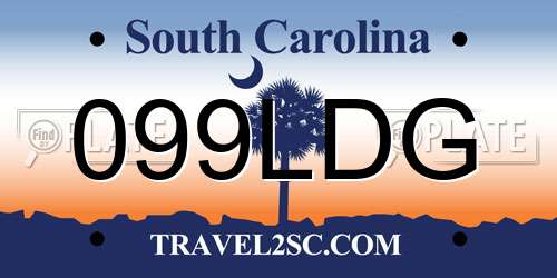 099LDG South Carolina License Plate