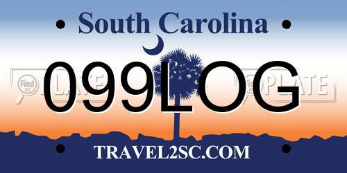 099LOG South Carolina License Plate