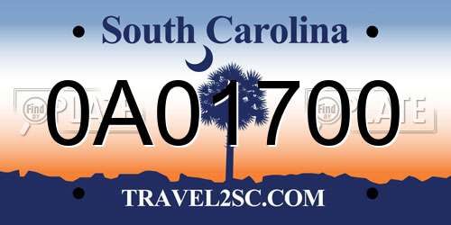 0A01700 South Carolina License Plate