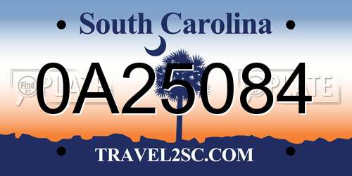 0A25084 South Carolina License Plate