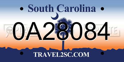 0A28084 South Carolina License Plate