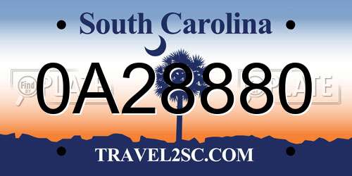 0A28880 South Carolina License Plate