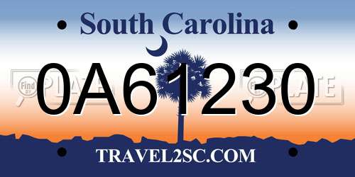 0A61230 South Carolina License Plate