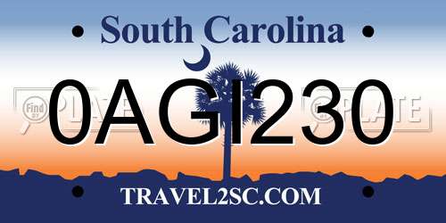 0AGI230 South Carolina License Plate