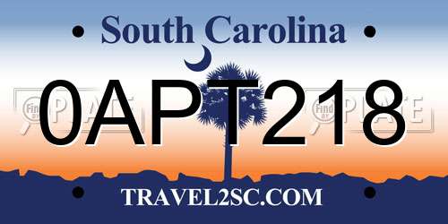 0APT218 South Carolina License Plate