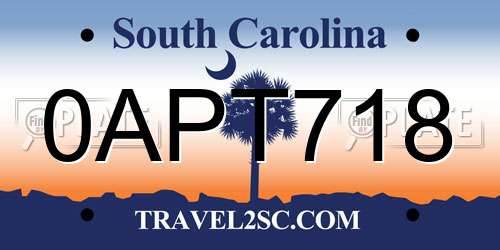 0APT718 South Carolina License Plate