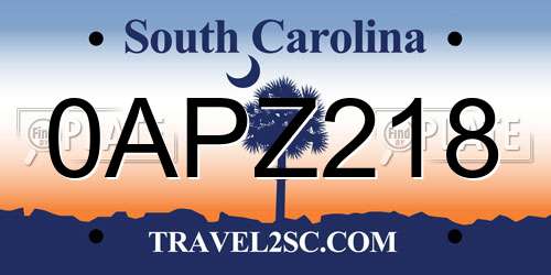 0APZ218 South Carolina License Plate