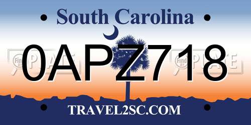 0APZ718 South Carolina License Plate